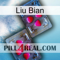 Liu Bian 15